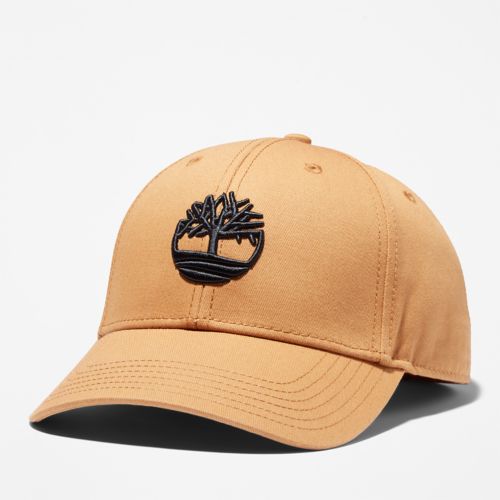 BB Cap w/ 3D Embroidery WHEAT